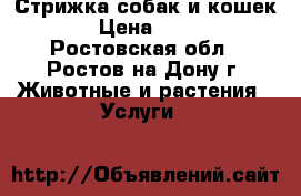 Стрижка собак и кошек. › Цена ­ 800 - Ростовская обл., Ростов-на-Дону г. Животные и растения » Услуги   